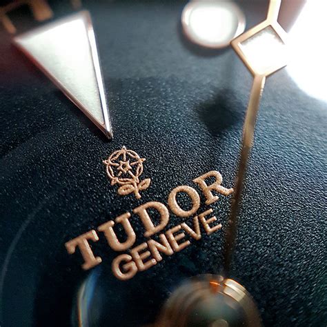 tudor watch rose logo